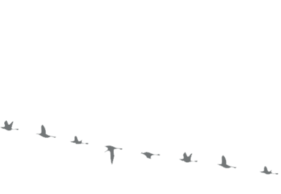 Festival Musique Rhône-Alpes