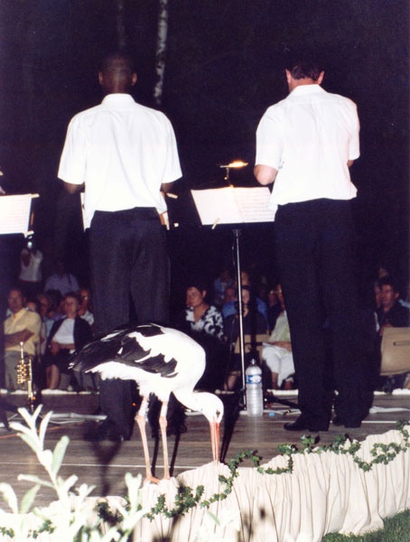 Ensemble Polyphonie - Parc des Oiseaux - 30 juillet 2001