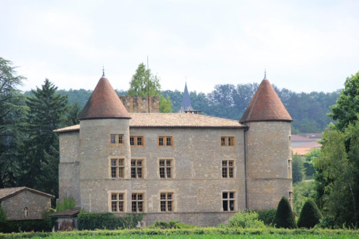 Château de Tanay à Saint-Didier-de-Formans