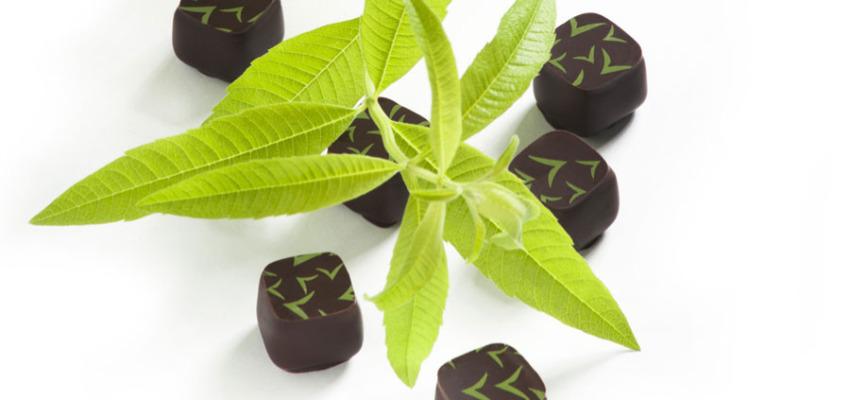 Dégustation #3 Chocolaterie Richart